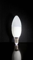 8W LED BUJİ AMPUL(GÜNIŞIĞI) CT-4083G