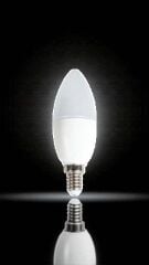 8W LED BUJİ AMPUL(GÜNIŞIĞI) CT-4083G