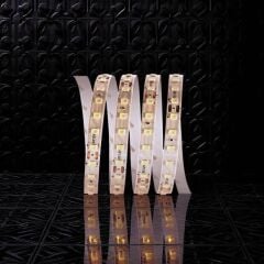 120 ÇİP ŞERİT LED (GÜNIŞIĞI) CT-4540G 5MT